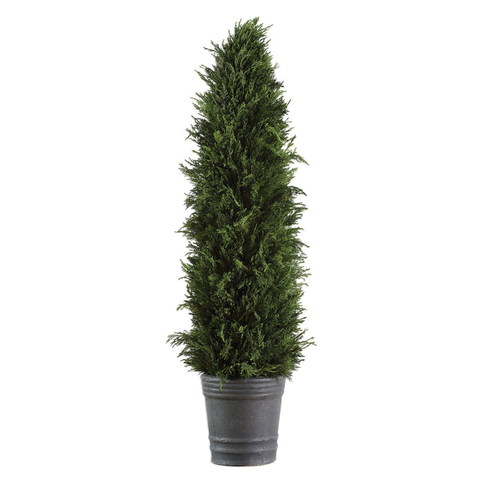 Cypress Cone - Topiary - Green