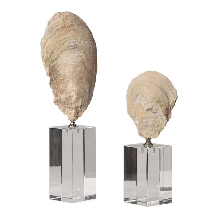 Oyster - Shell Sculptures (Set of 2) - Beige