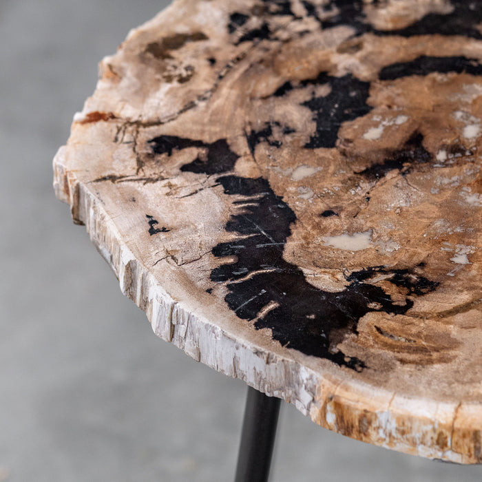 Mircea - Petrified Wood Accent Table - Black & Light Brown