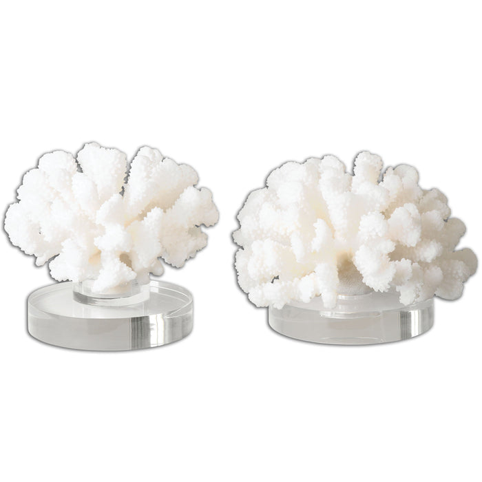 Hard Coral - Sculptures (Set of 2) - White