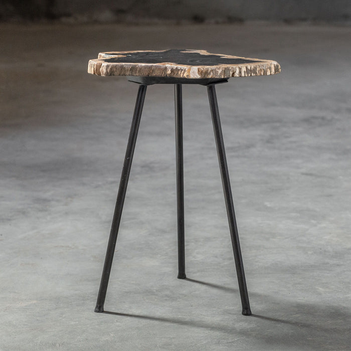 Mircea - Petrified Wood Accent Table - Black & Light Brown